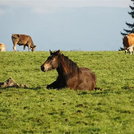 مزرعة للإقامة Waldhof