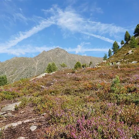 Waldhof امهاوسن