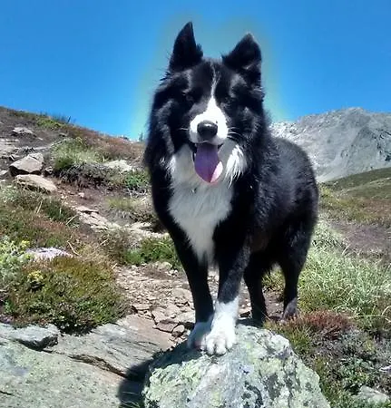 Alojamento de Turismo Rural Waldhof