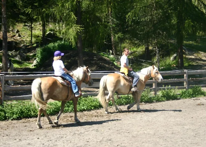 Waldhof Gospodarstwo agroturystyczne