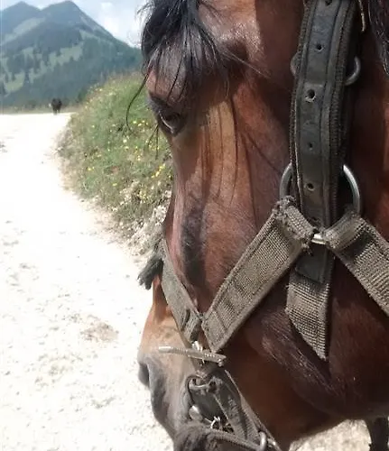 Gospodarstwo agroturystyczne Waldhof Umhausen