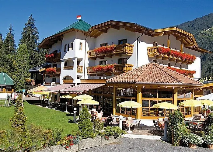 Waldhof Gospodarstwo agroturystyczne *