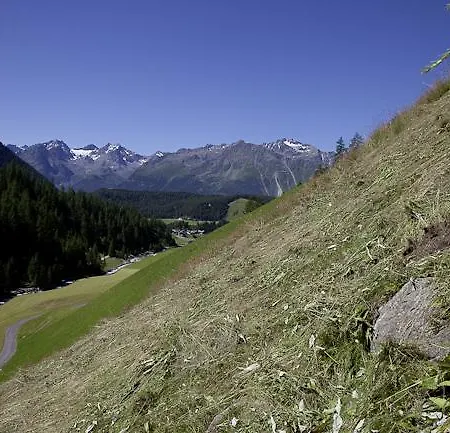 Çiftlik konaklama Waldhof *