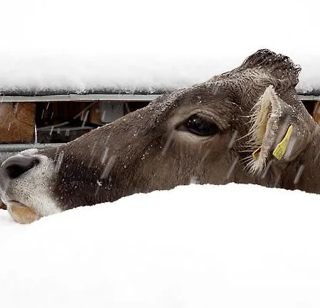 Çiftlik konaklama Waldhof *