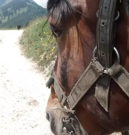 Çiftlik konaklama Waldhof Umhausen