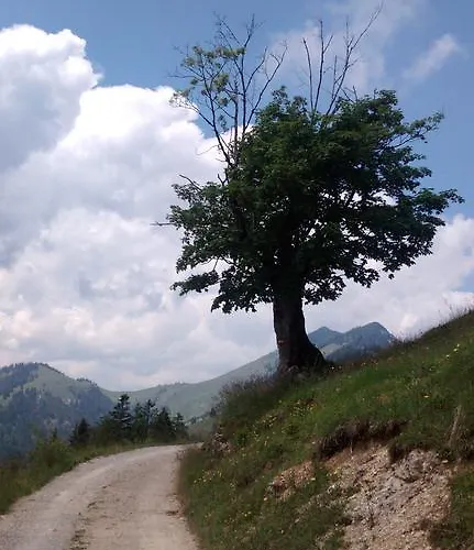 Bauernhof Waldhof Umhausen